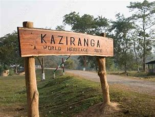 scenic view of Kaziranga National Park